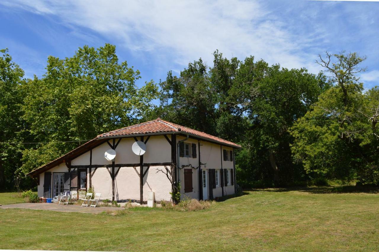 La Suite Du Bucheron Laharie Zewnętrze zdjęcie