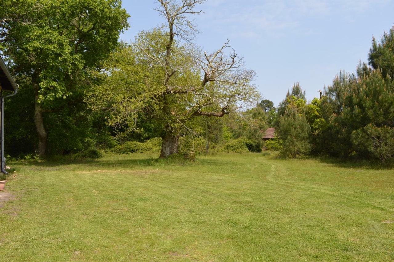 La Suite Du Bucheron Laharie Zewnętrze zdjęcie